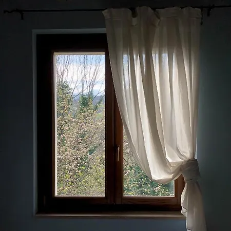 Pensjonat Djenga - Rock 'n